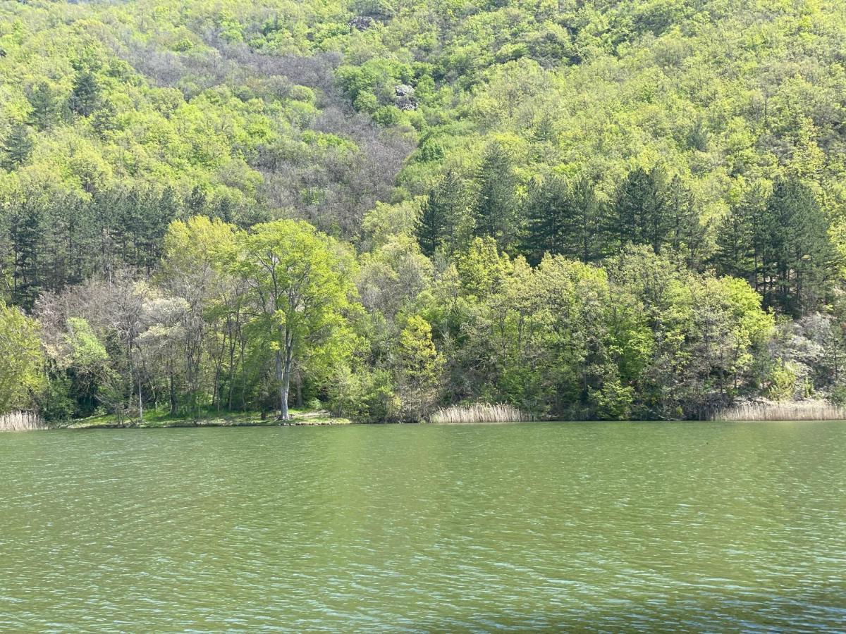 Hotel Gradche Kočani المظهر الخارجي الصورة